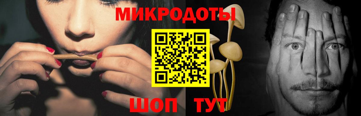 Галлюциногенные грибы мухоморы  где продают   Псилоцибиновые грибы Cubensis  Тында  Вход с VPN 